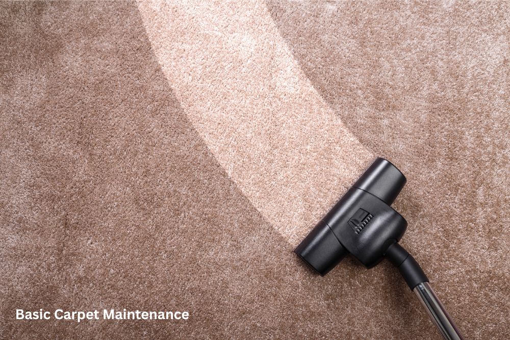 Carpet floor cleaning | Signature Flooring, Inc