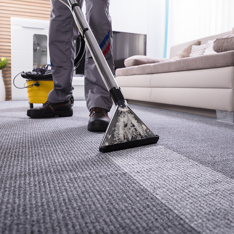 Carpet cleaning | Signature Flooring, Inc