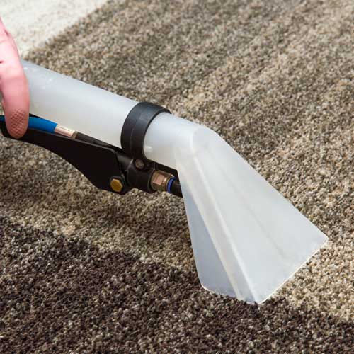 Carpet Cleaning | Signature Flooring